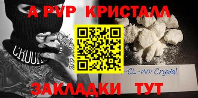 шишки Новозыбков