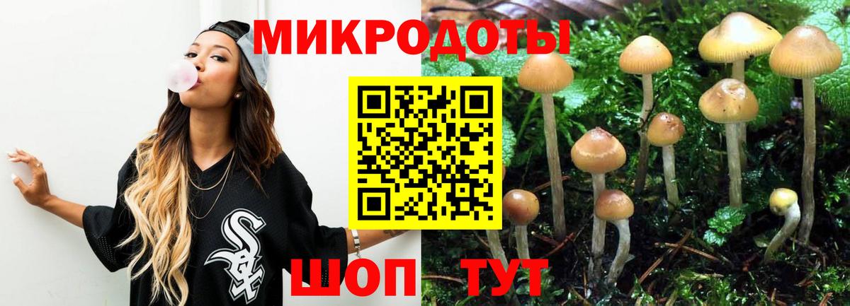 цены   Галлюциногенные грибы Psilocybe  Галлюциногенные грибы MAGIC MUSHROOMS  Вход с VPN  Рыбинск 