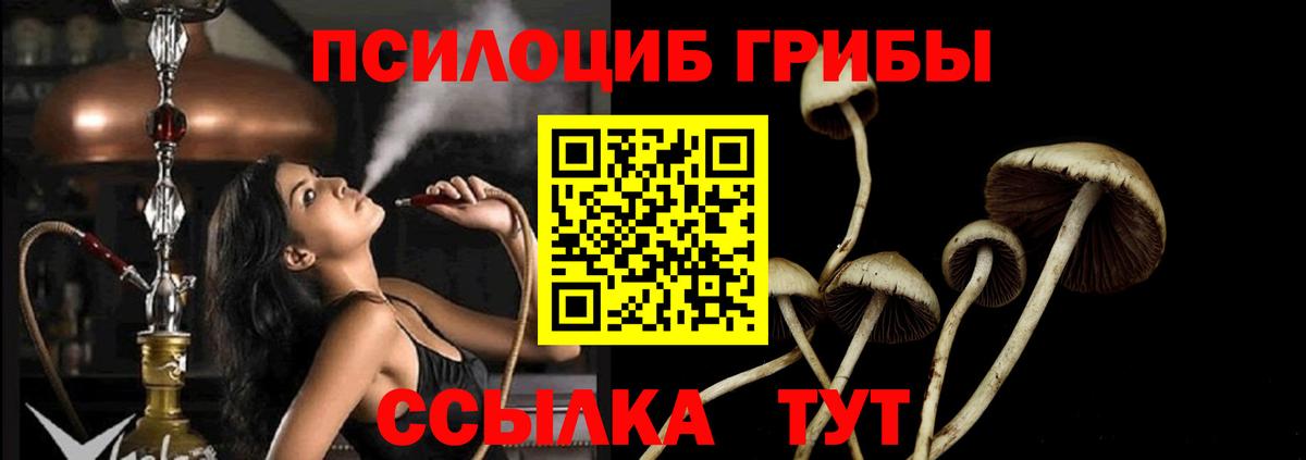 Галлюциногенные грибы Magic Shrooms Рыбинск